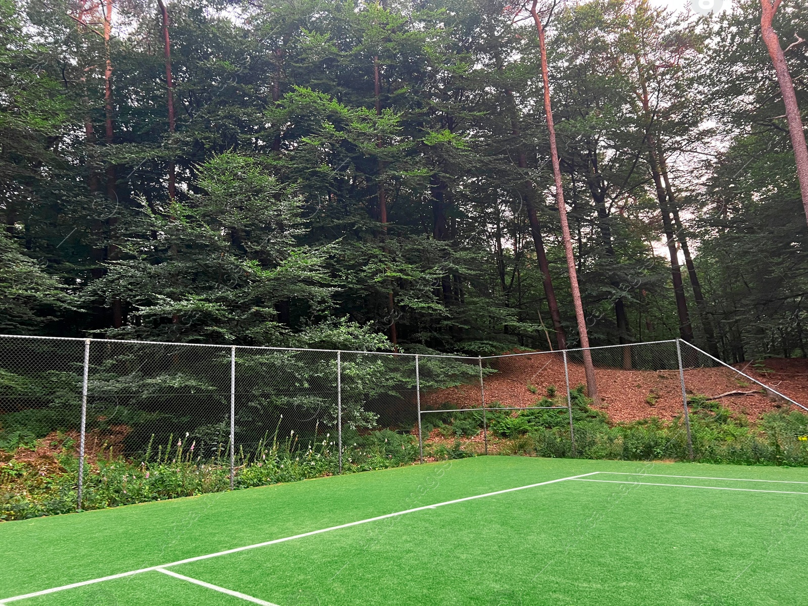 Photo of Tennis court with green grass and markings outdoors