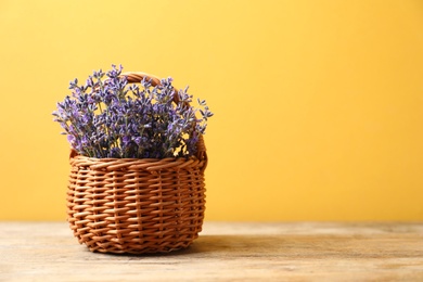 Basket with fresh lavender flowers on wooden table against yellow background. Space for text