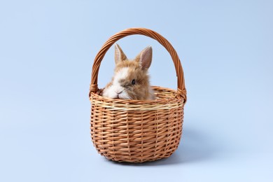 Photo of Cute little rabbit in wicker basket on light blue background