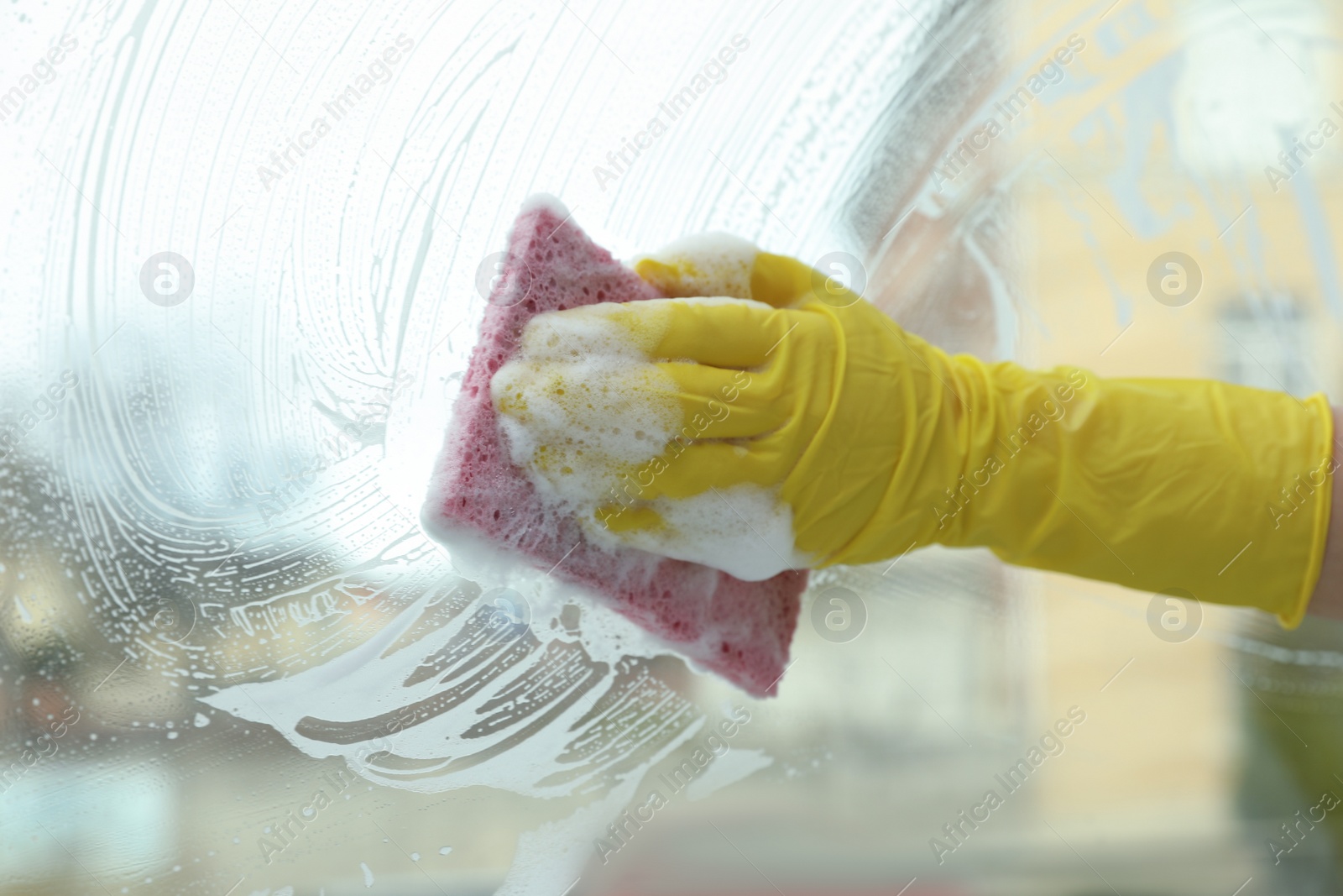 Photo of Woman cleaning window with sponge at home, closeup