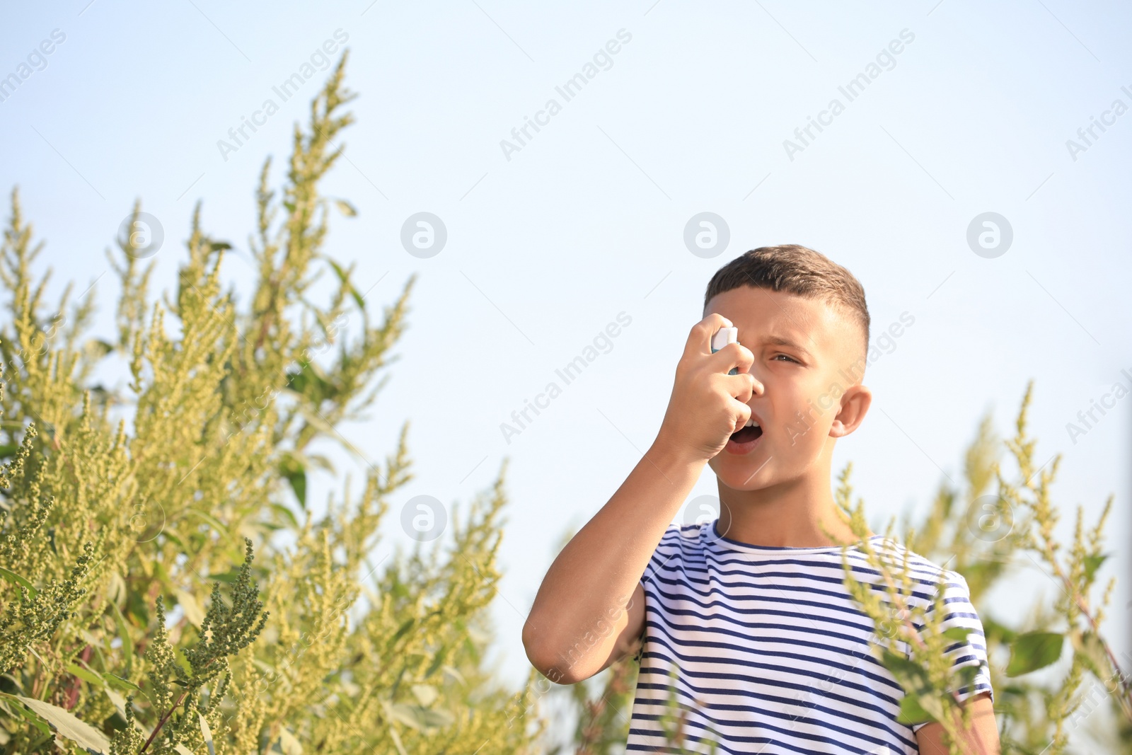 Photo of Little boy with inhaler suffering from ragweed allergy outdoors