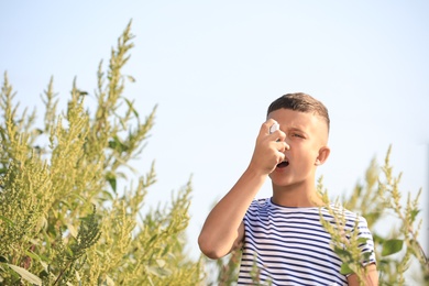 Little boy with inhaler suffering from ragweed allergy outdoors