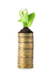 Photo of Stack of coins and green plant isolated on white. Successful investment
