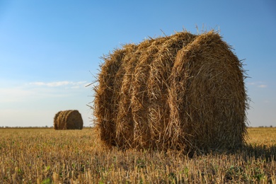 Photo of Round rolled hay bales in agricultural field on sunny day