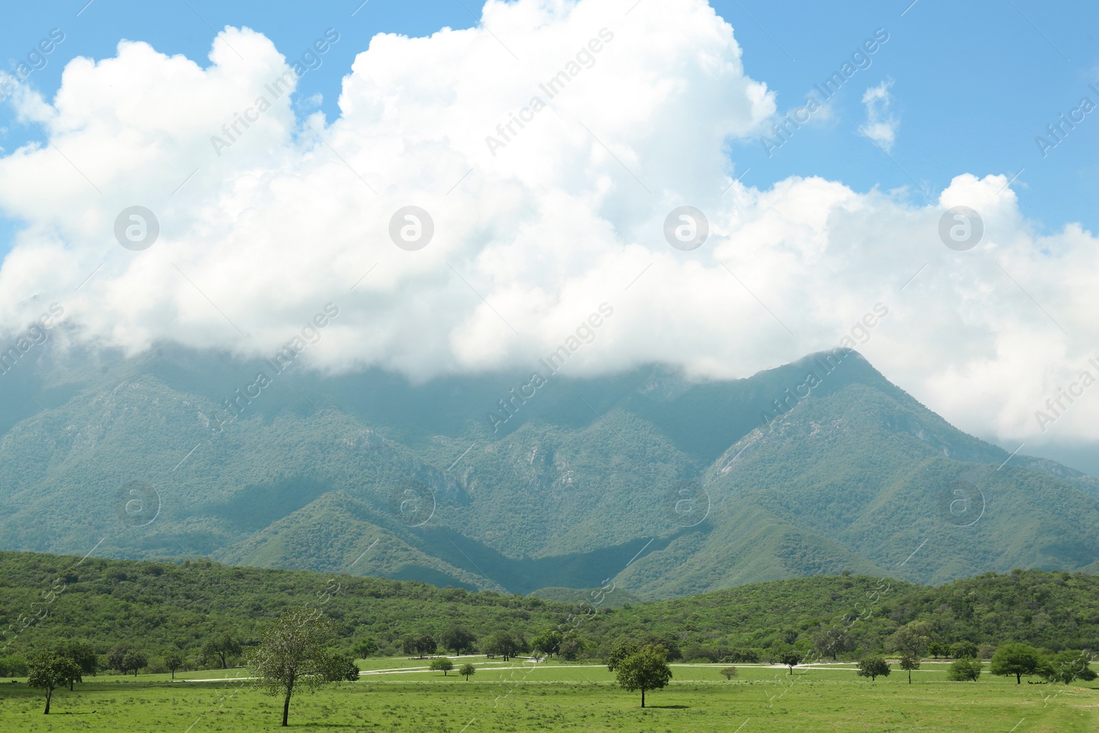 Photo of Picturesque view of mountains and green meadow