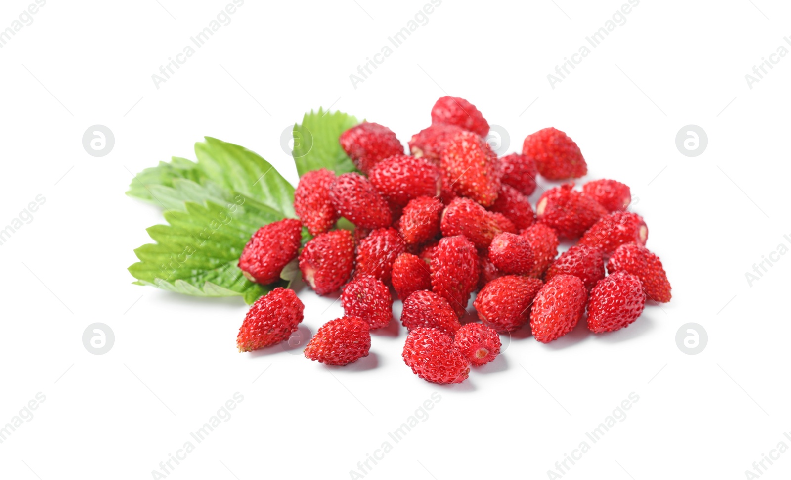 Photo of Ripe wild strawberries and green leaves isolated on white