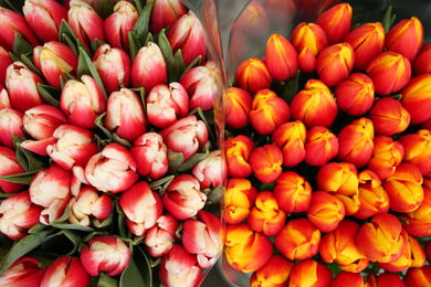 Fresh colorful bouquets with tulip flowers, top view