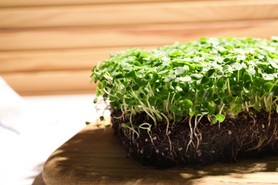 Photo of Fresh organic microgreen on wooden board, closeup