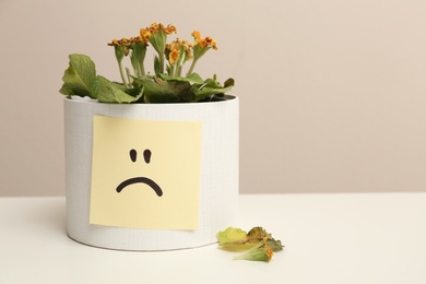 Photo of Houseplant and sticker with sad face on white table. Space for text