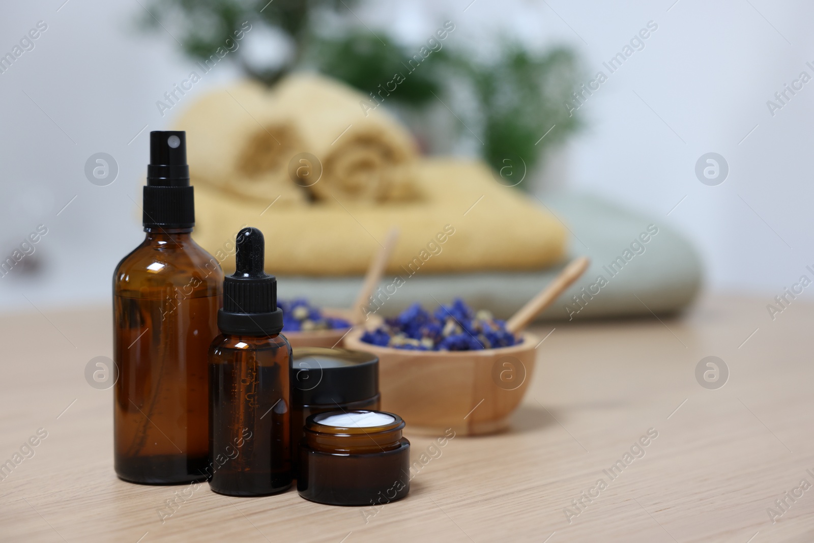 Photo of Bottles of essential oils, dry flowers and jar with cream on light wooden table, space for text. Spa therapy