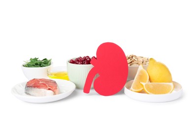 Photo of Paper cutout of kidney and different healthy products on white background