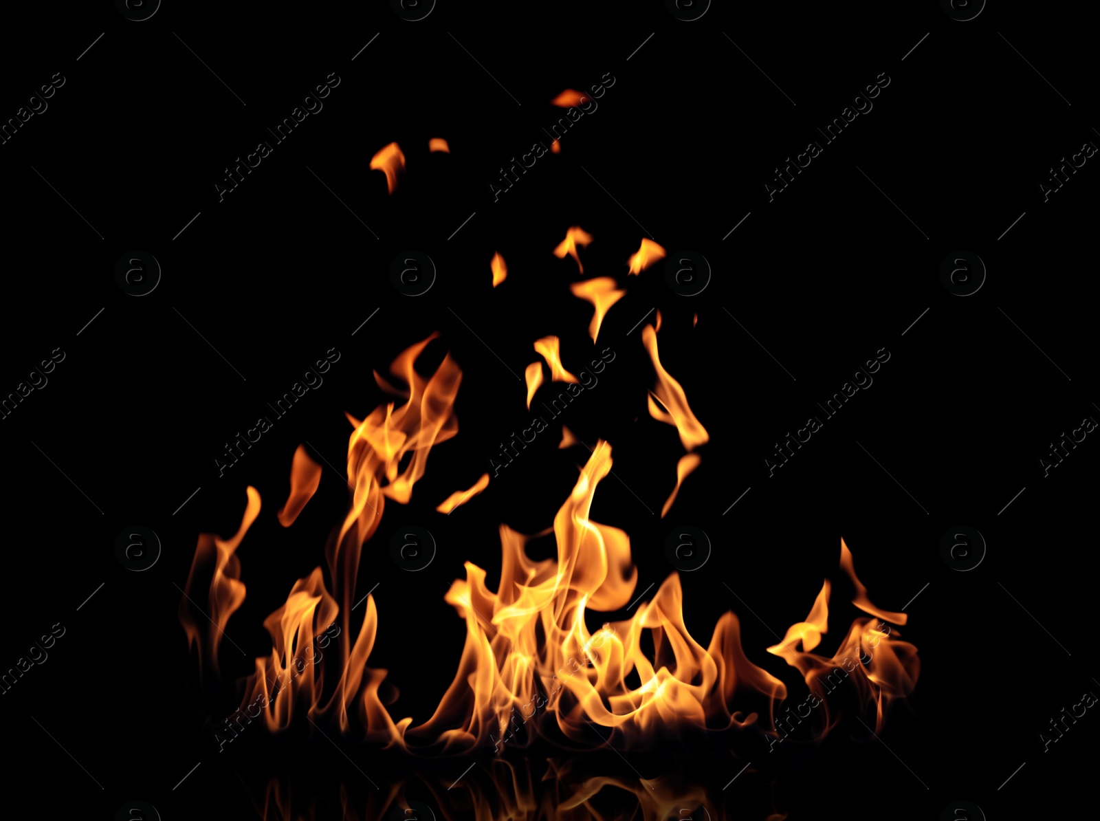 Photo of Beautiful bright fire flames on black background