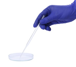 Scientist with pipette and petri dish on white background, closeup