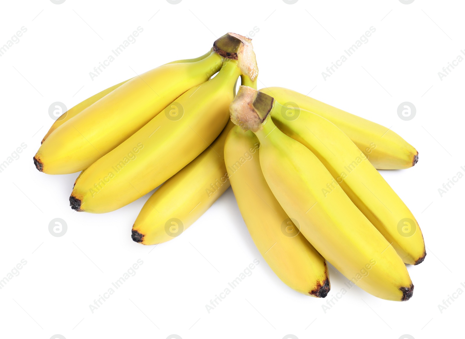 Photo of Clusters of ripe baby bananas on white background