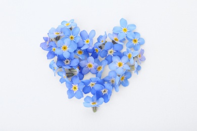 Heart made of amazing spring forget-me-not flowers on white background, top view