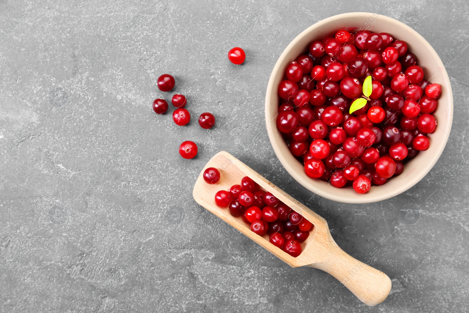 Photo of Fresh ripe cranberries in bowl and scoop on grey table, flat lay. Space for text