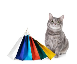 Image of Adorable grey tabby cat and colorful paper shopping bags on white background