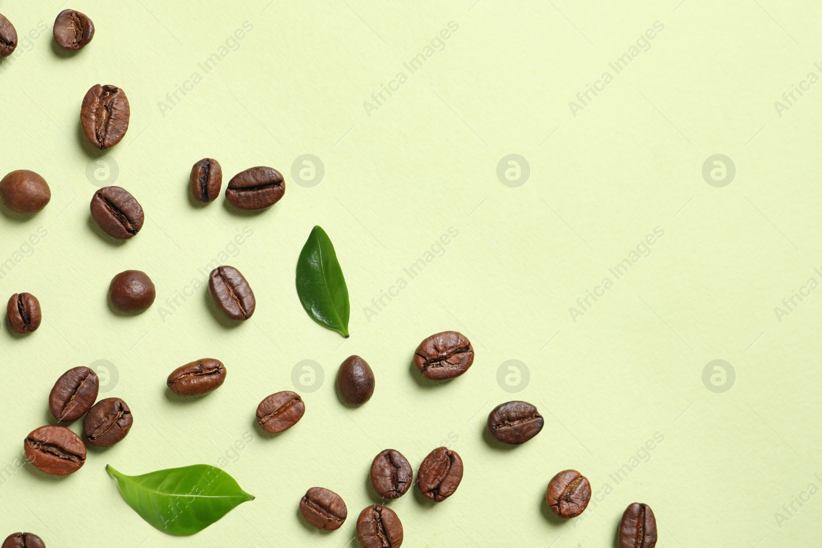 Photo of Fresh green coffee leaves and beans on light green background, flat lay. Space for text