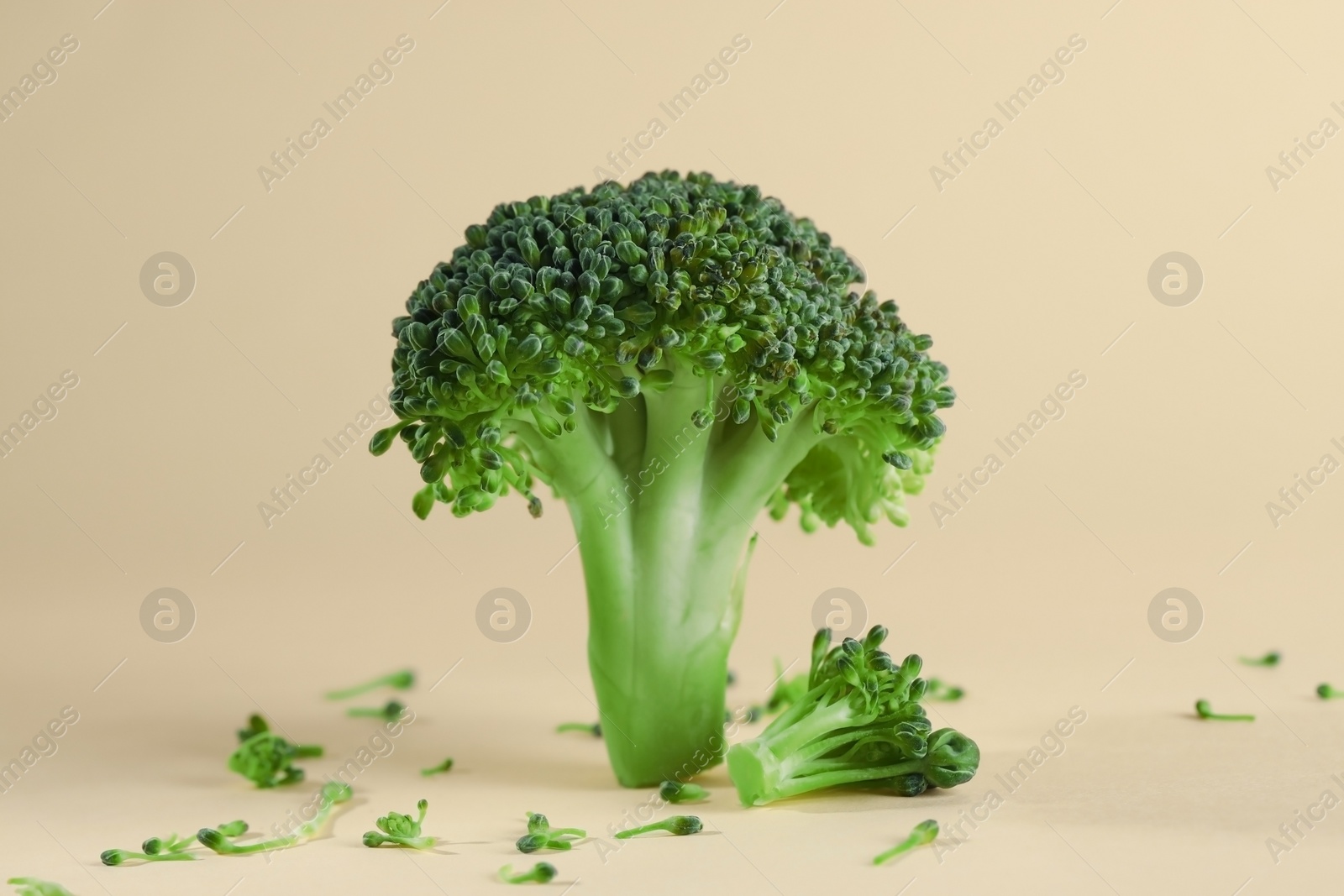 Photo of Fresh raw broccoli on beige background, closeup