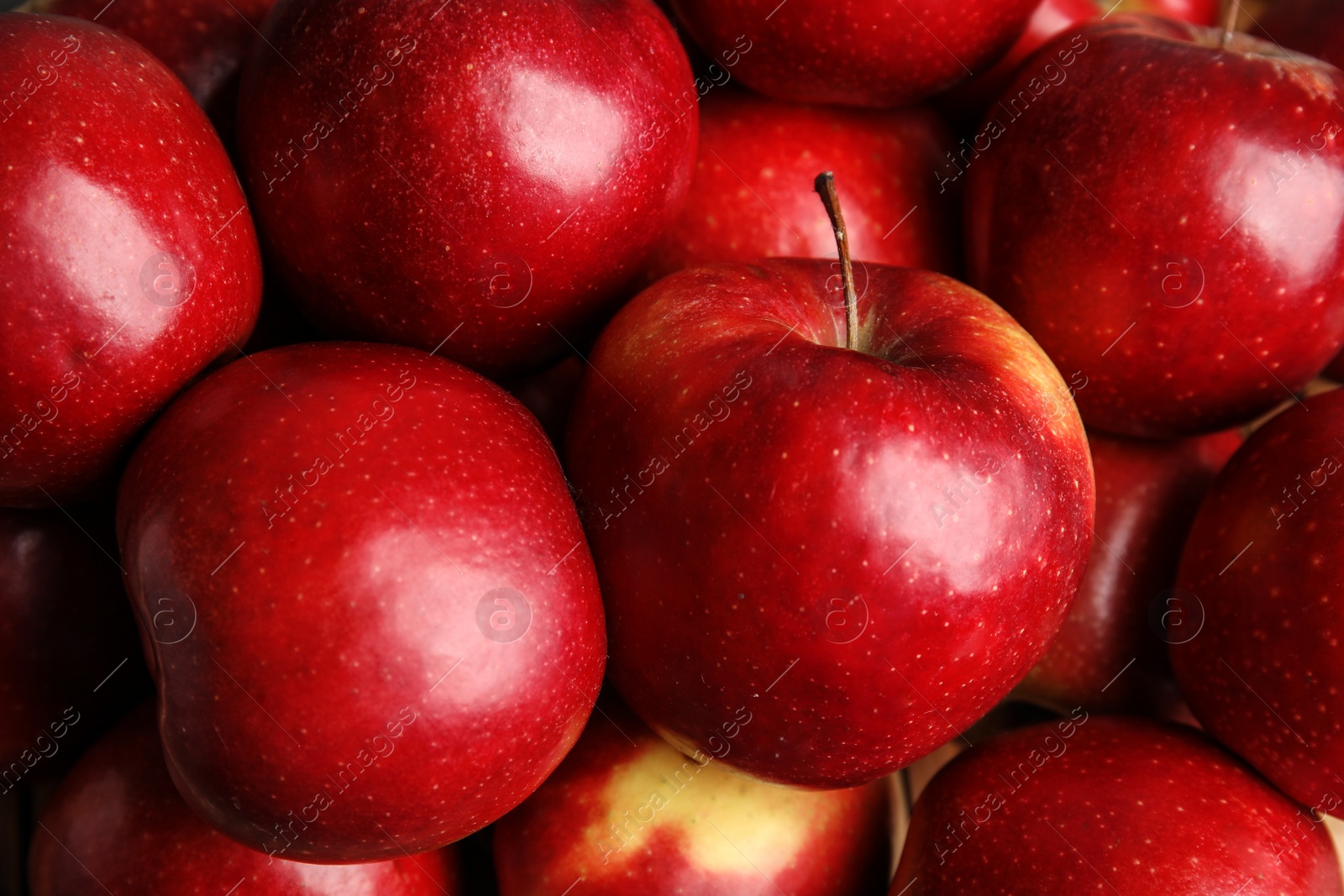 Photo of Many ripe juicy red apples as background, closeup