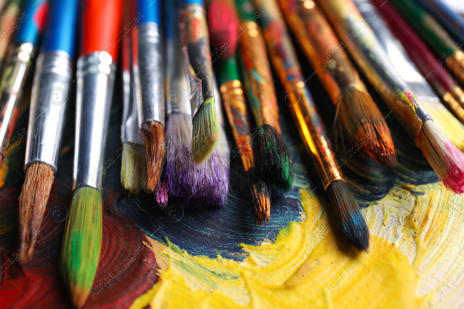 Photo of Different paint brushes on color palette, closeup