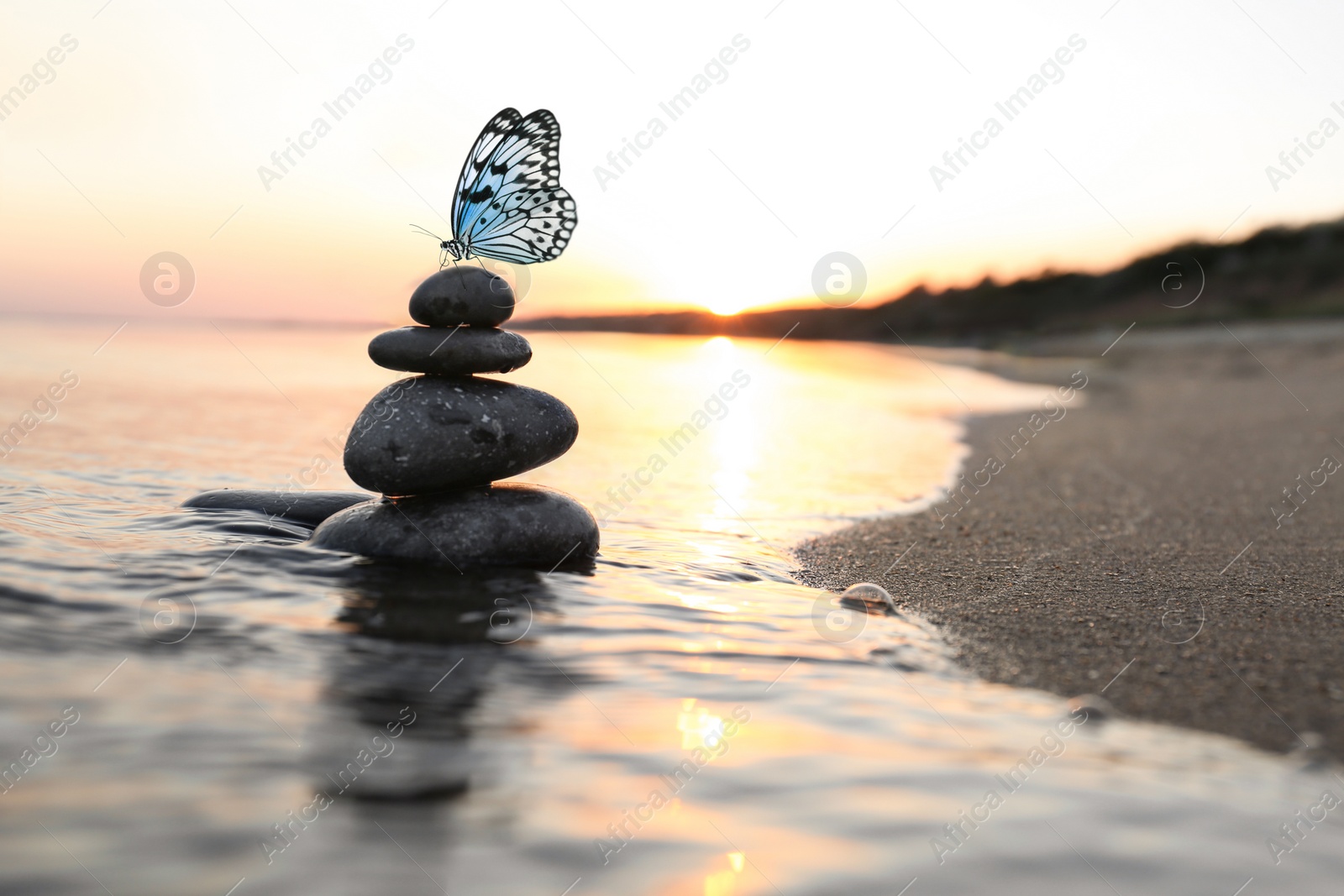 Image of Beautiful butterfly and stones on sandy beach near sea at sunset. Zen concept