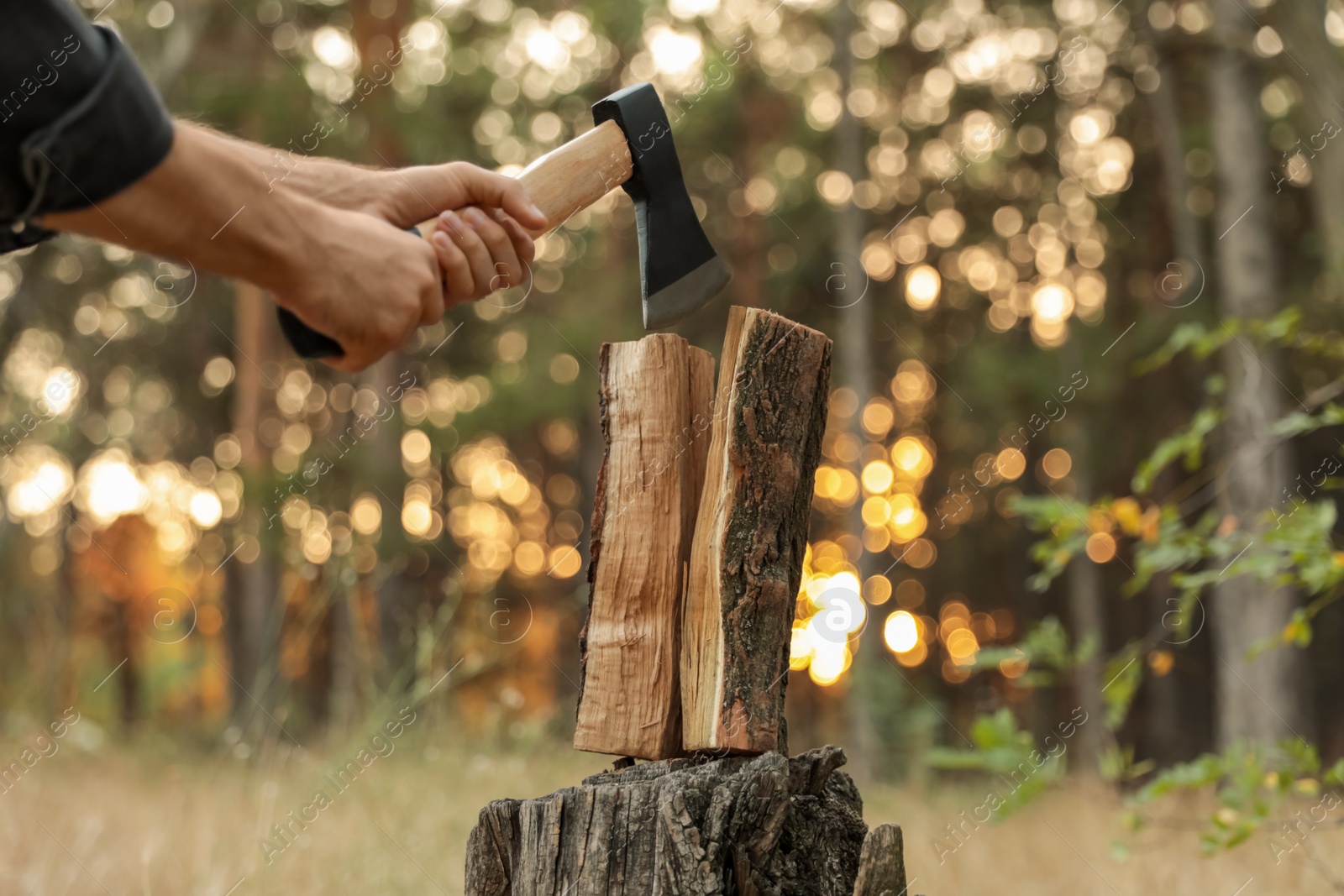 Photo of Man splitting firewood with axe in forest, closeup