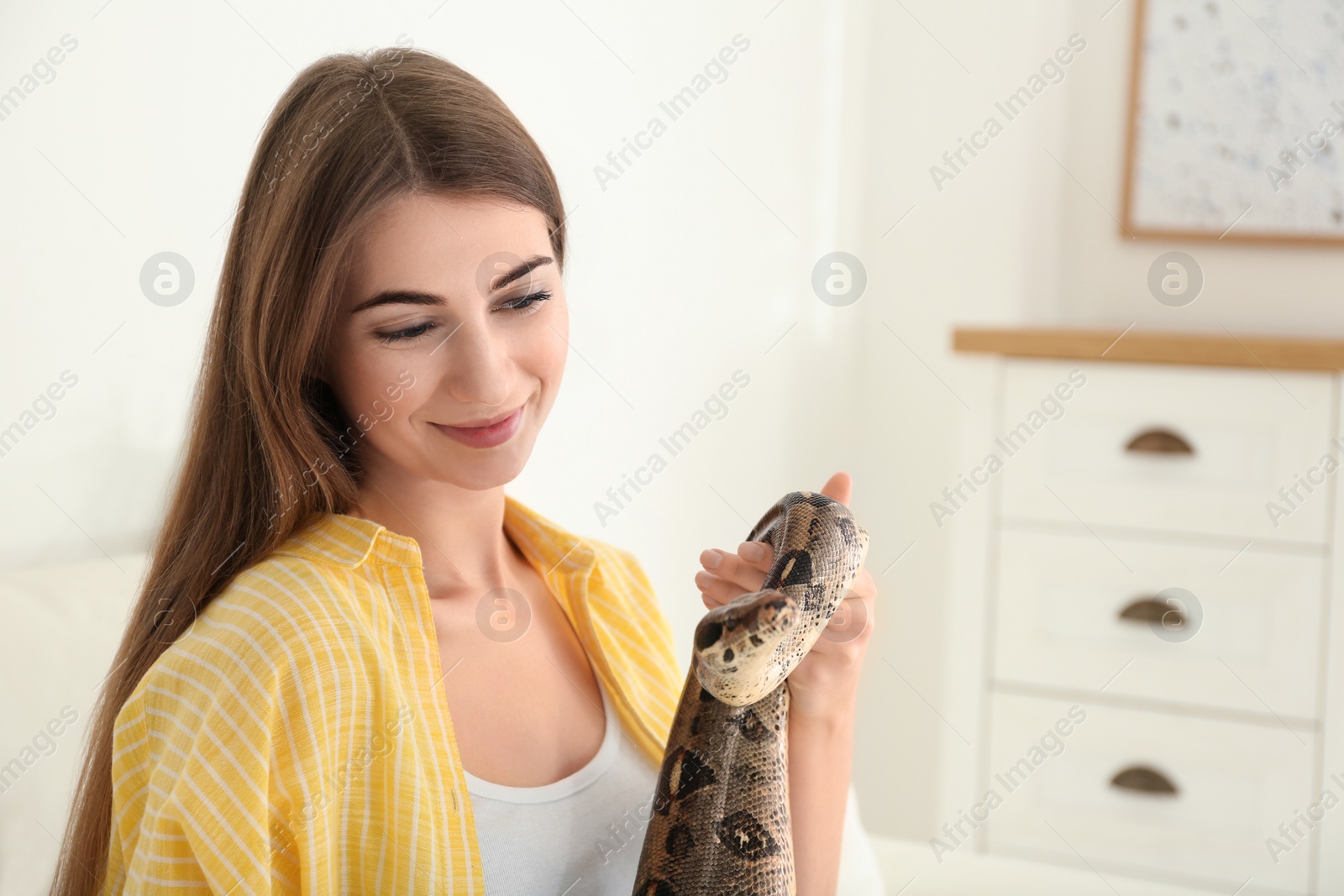 Photo of Young woman with boa constrictor at home. Exotic pet