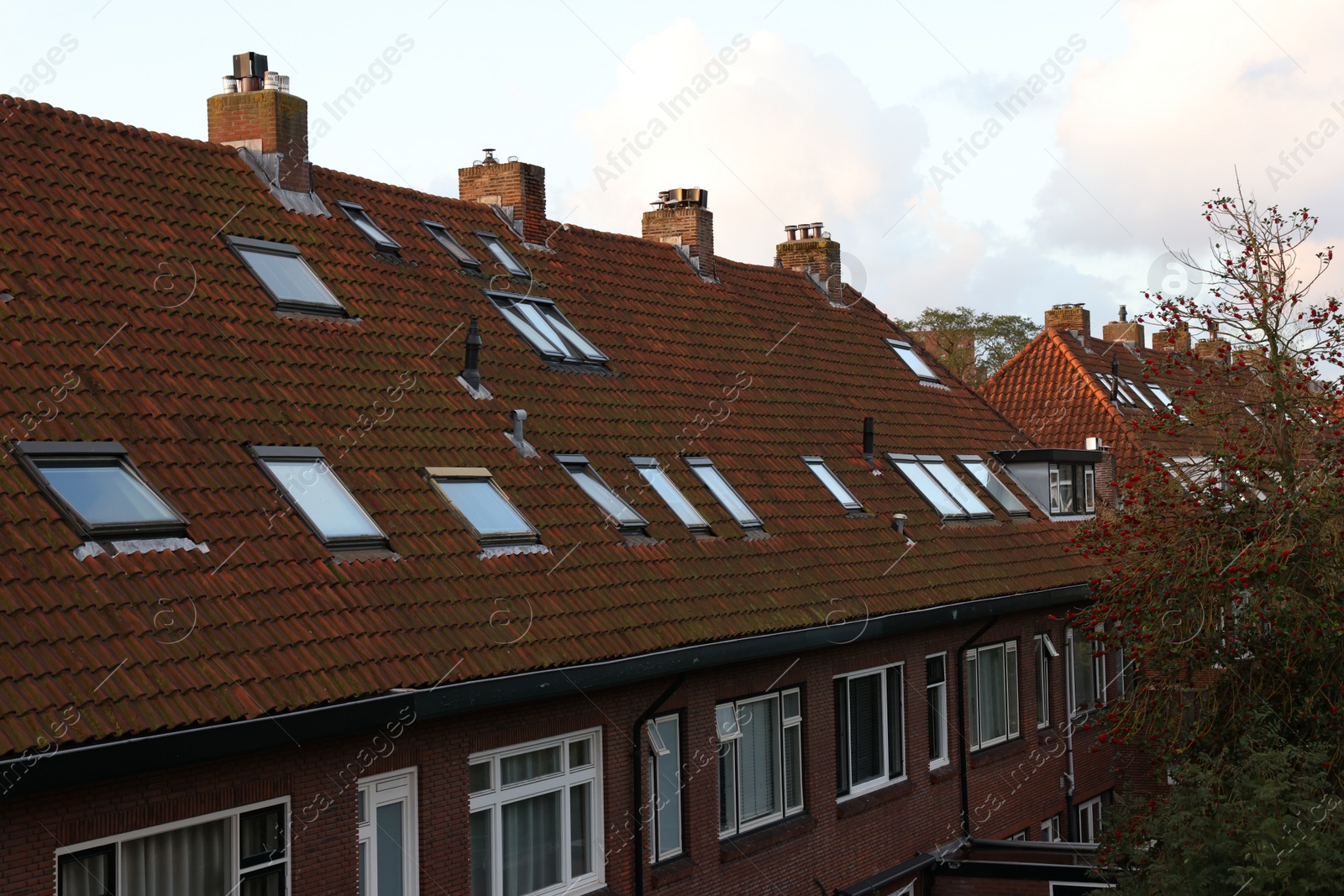 Photo of Beautiful buildings and trees in city under sky with clouds