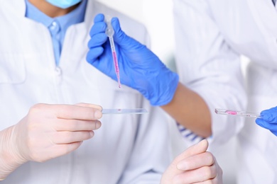 Scientists working in laboratory, closeup view. Research and analysis