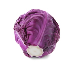 Whole ripe red cabbage on white background