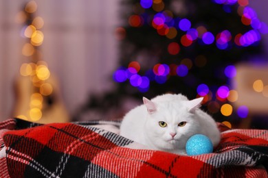Photo of Christmas atmosphere. Cute cat with bauble lying on plaid indoors. Space for text