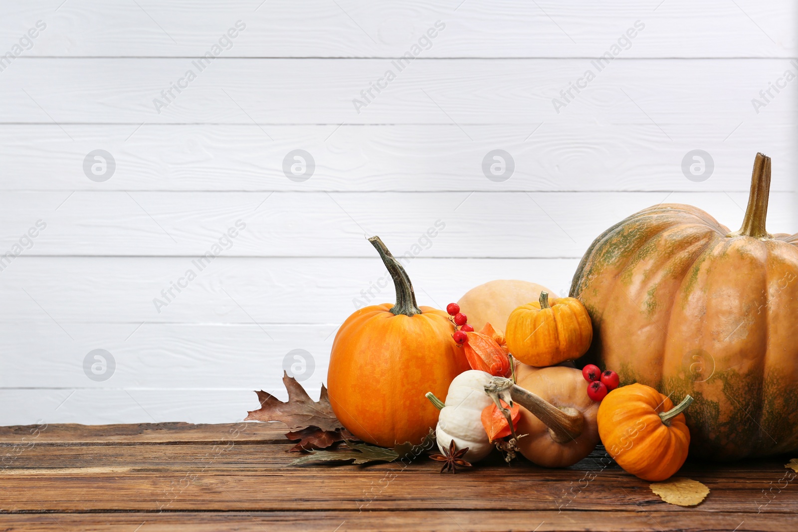 Photo of Happy Thanksgiving day. Beautiful composition with pumpkins on wooden table, space for text