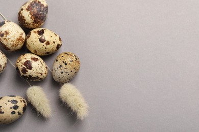 Photo of Speckled quail eggs and dry flowers on light grey background, flat lay. Space for text