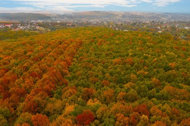 Image of Aerial view of beautiful autumn forest near village