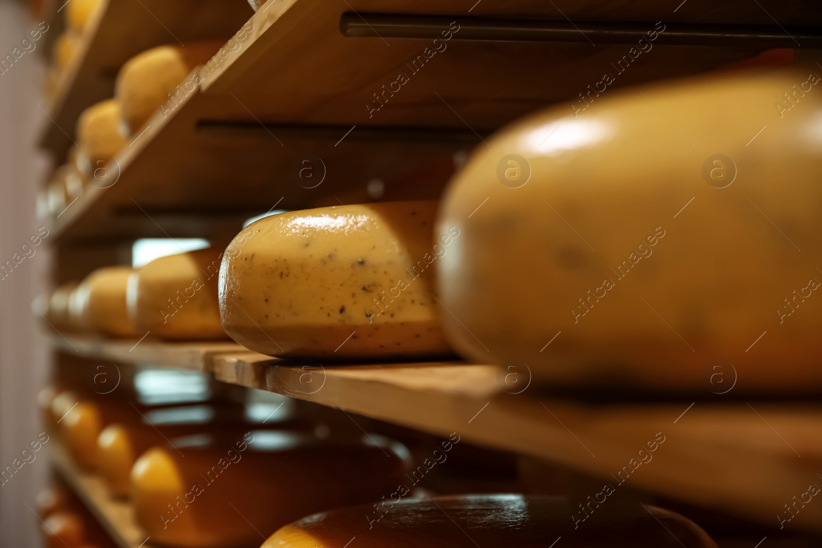 Photo of Fresh cheese heads on rack in factory warehouse, closeup