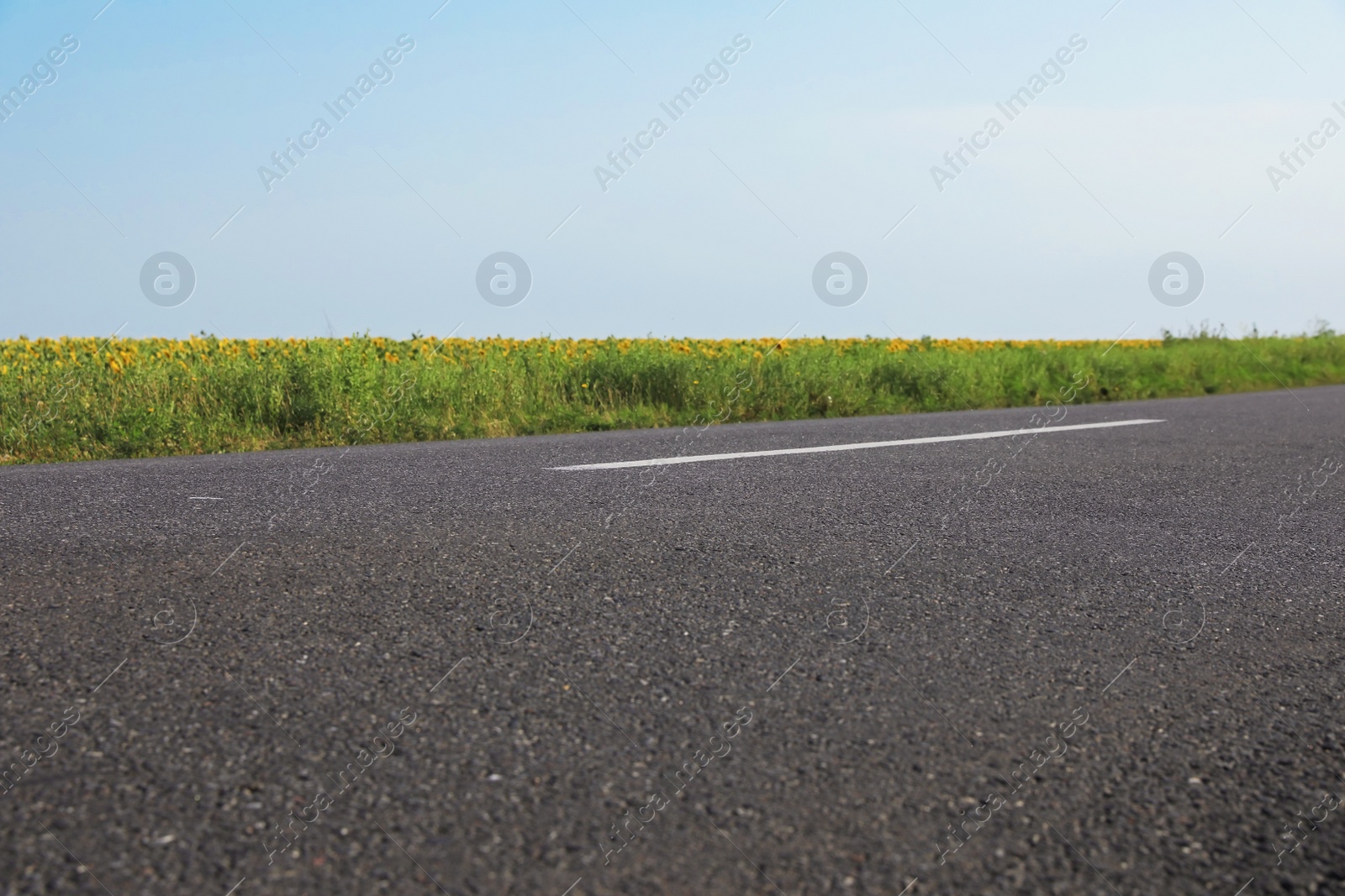 Photo of Beautiful view of empty asphalt highway on sunny day. Road trip