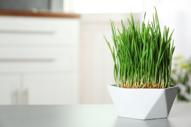 Photo of Ceramic bowl with fresh wheat grass on table against blurred background, space for text