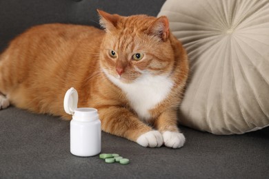 Photo of Cute ginger cat and vitamin pills on couch indoors