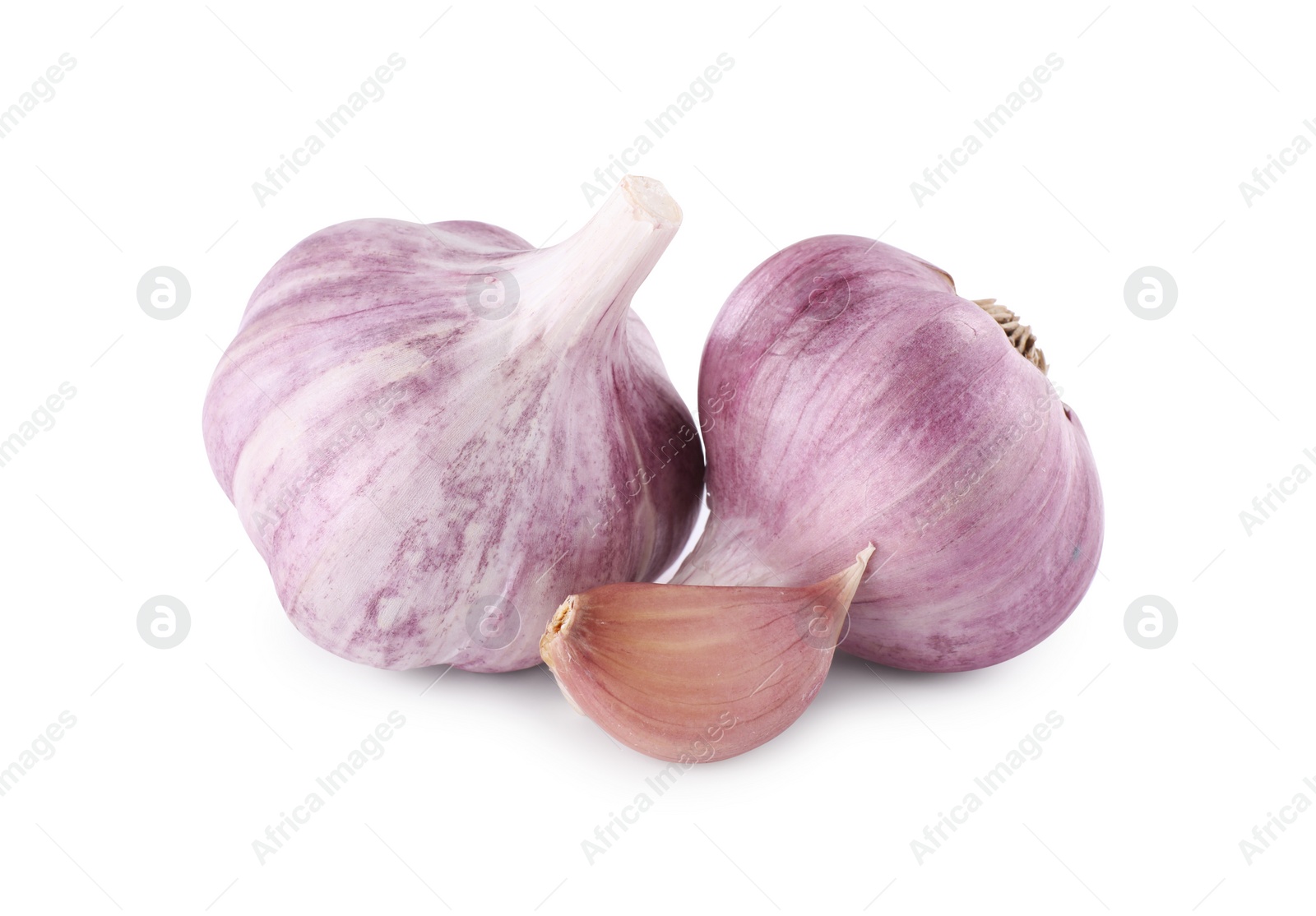 Photo of Fresh raw garlic heads and clove isolated on white