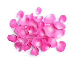 Many pink rose petals on white background, top view