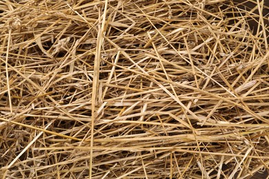 Photo of Pile of dried straw as background, closeup