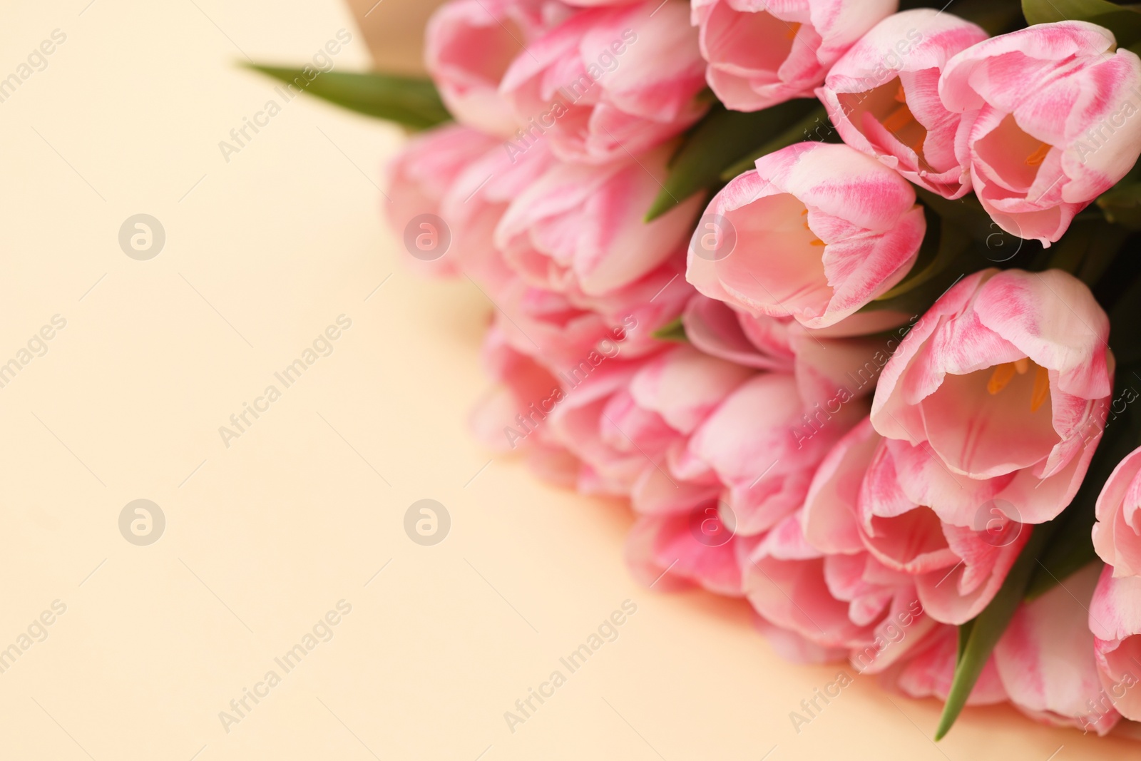 Photo of Beautiful bouquet of fresh pink tulips on beige background, closeup. Space for text
