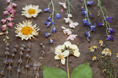 Photo of Many different beautiful dried flowers on wooden table