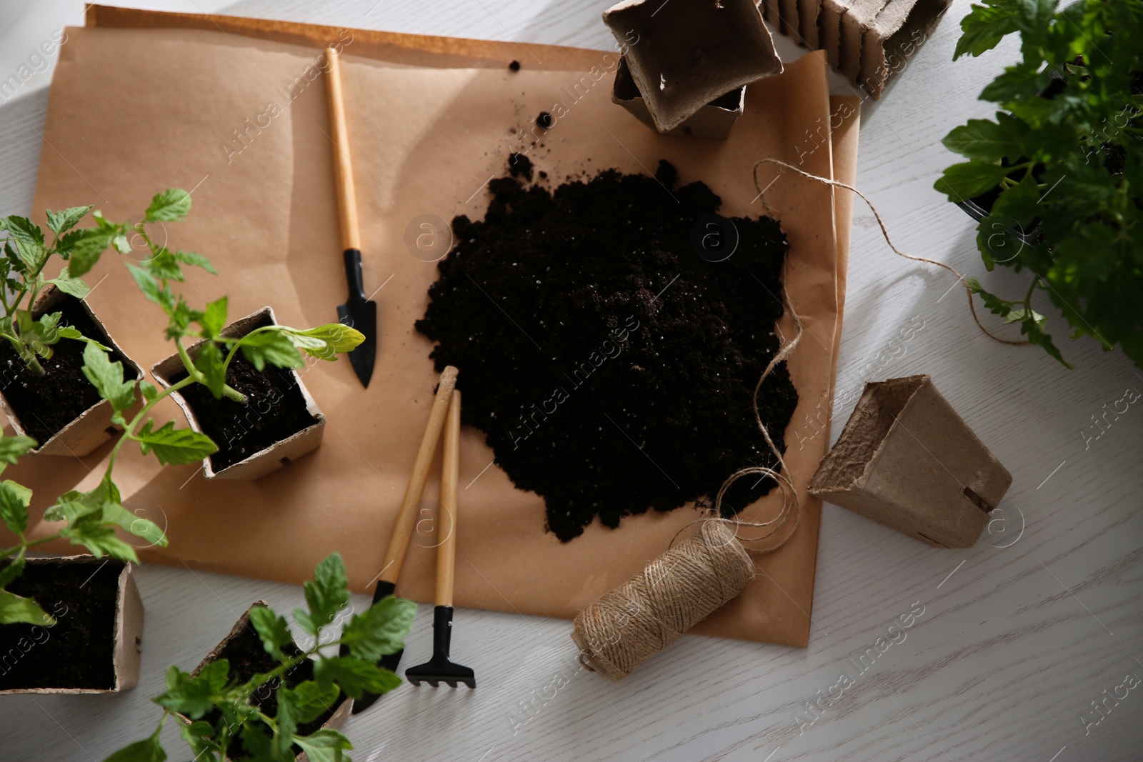 Photo of Flat lay composition with tomato seedlings, gardening tools and soil on white wooden table