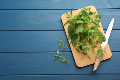 Photo of Fresh stinging nettle leaves on blue wooden table, flat lay. Space for text