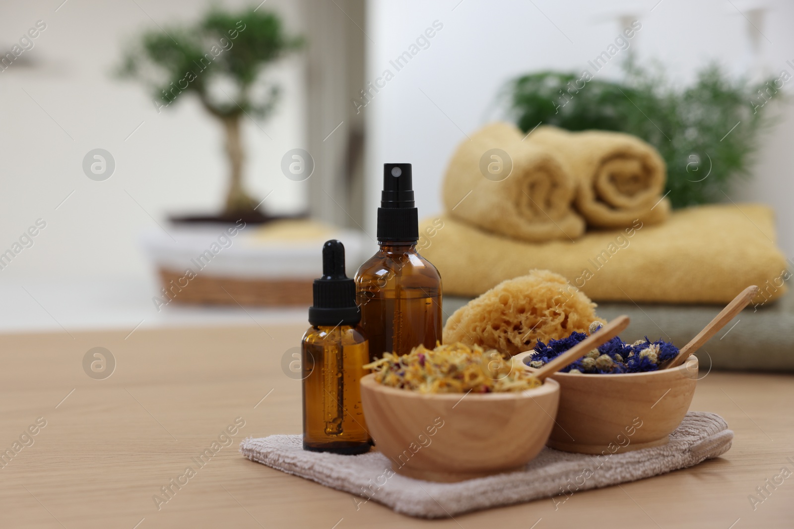 Photo of Bottles of essential oils, bowls with dry flowers and natural sponge on light wooden table, space for text. Spa therapy