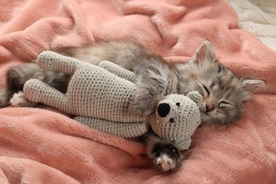 Cute kitten sleeping with toy on soft pink blanket