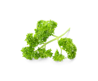 Photo of Fresh green curly parsley on white background