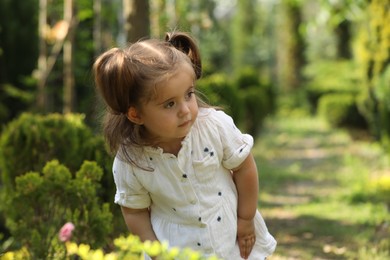 Photo of Cute little girl walking near green plants in park